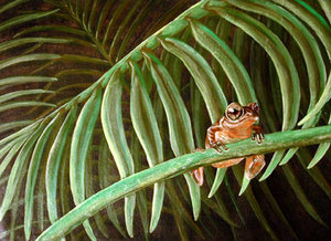 Singing Frog - Acrylic 24x36